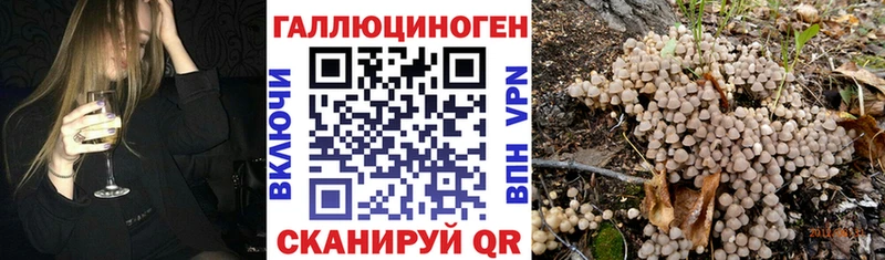 Псилоцибиновые грибы Psilocybe  Новоуральск 